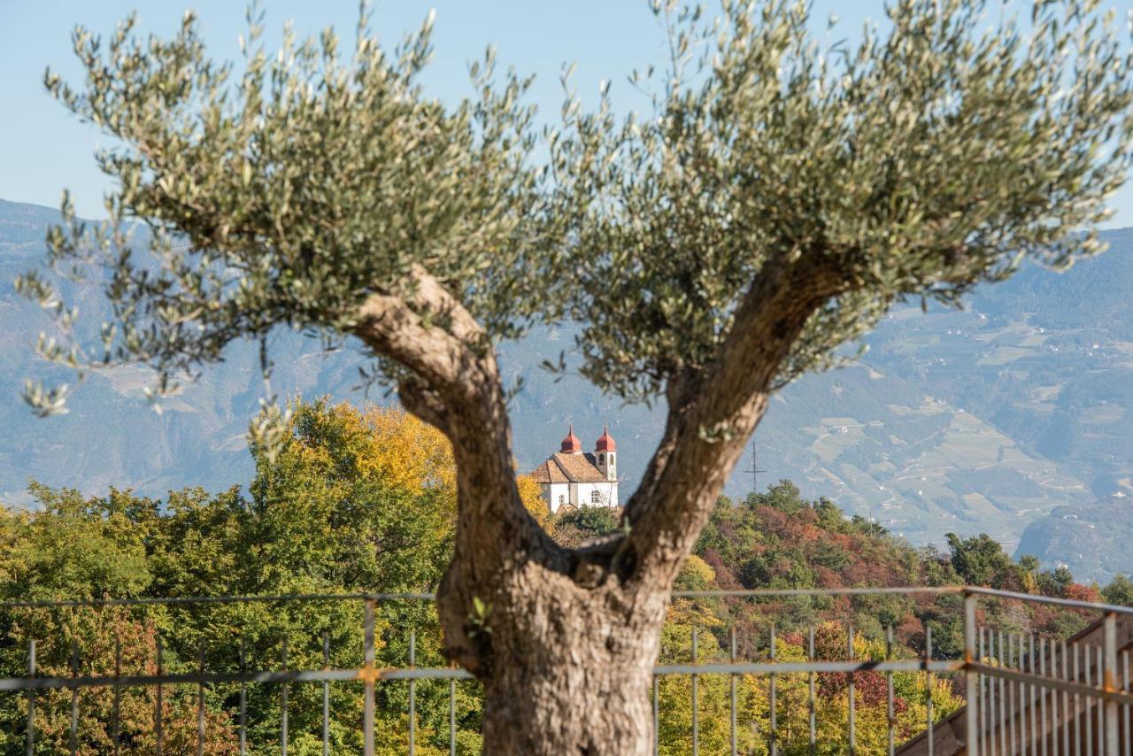 Apartmán Nofnerhof Appiano Sulla Strada Del Vino Exteriér fotografie