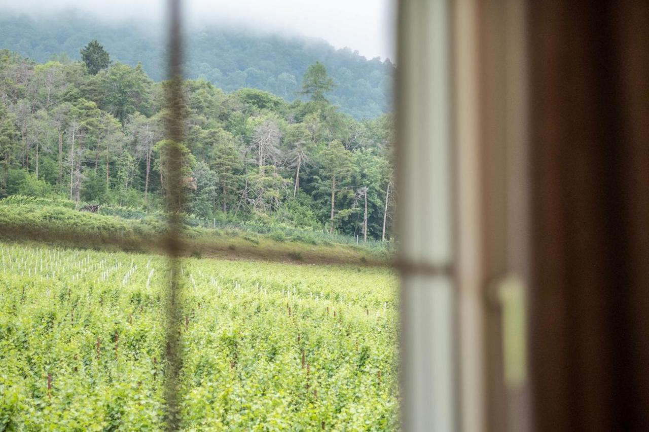 Apartmán Nofnerhof Appiano Sulla Strada Del Vino Exteriér fotografie