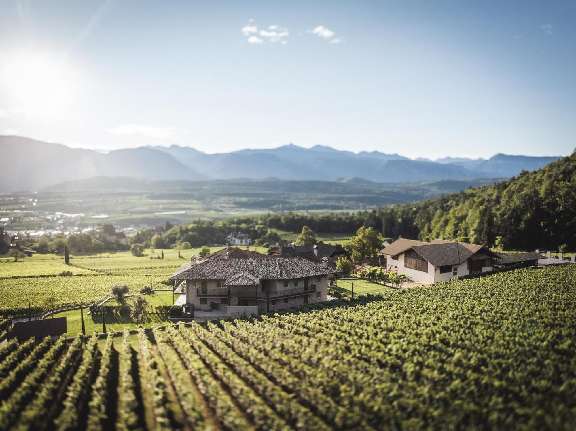 Apartmán Nofnerhof Appiano Sulla Strada Del Vino Exteriér fotografie