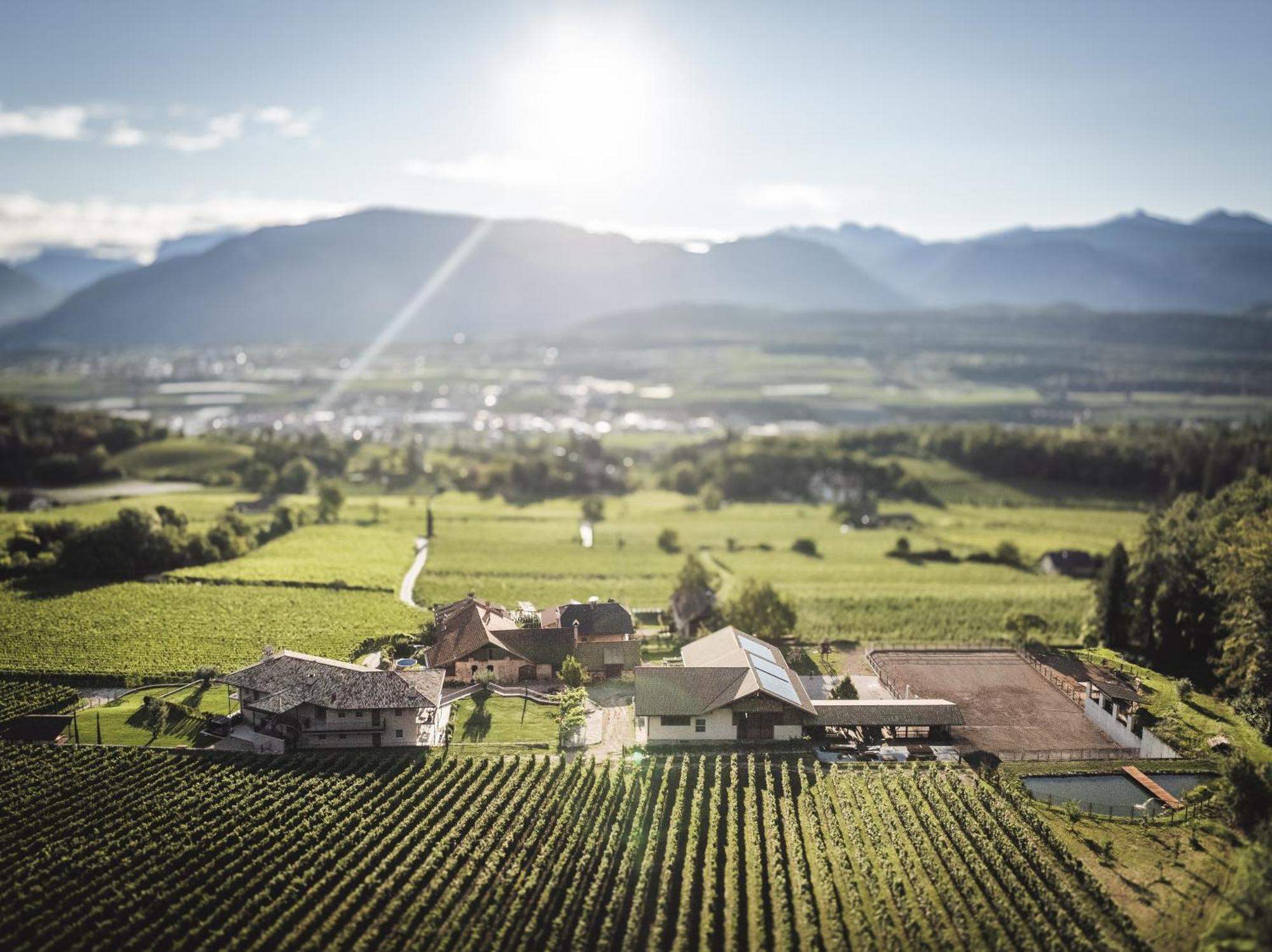 Apartmán Nofnerhof Appiano Sulla Strada Del Vino Exteriér fotografie